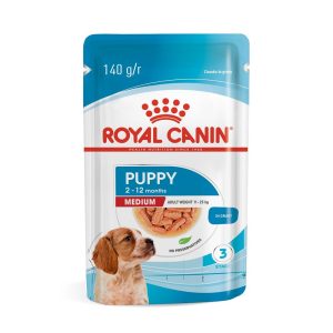 1ACC SHN MEDIUM PUPPY 1