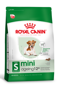 1ACC SHN MINI AGEING 12 e1739968493255