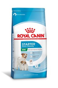 1ACC SHN Min Star MotB Dog 1