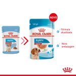 2.1MEDIUM PUPPY WET