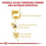 2ACC BHN YORKSHIRE ADULT WET