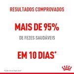 Cuidado digestivo