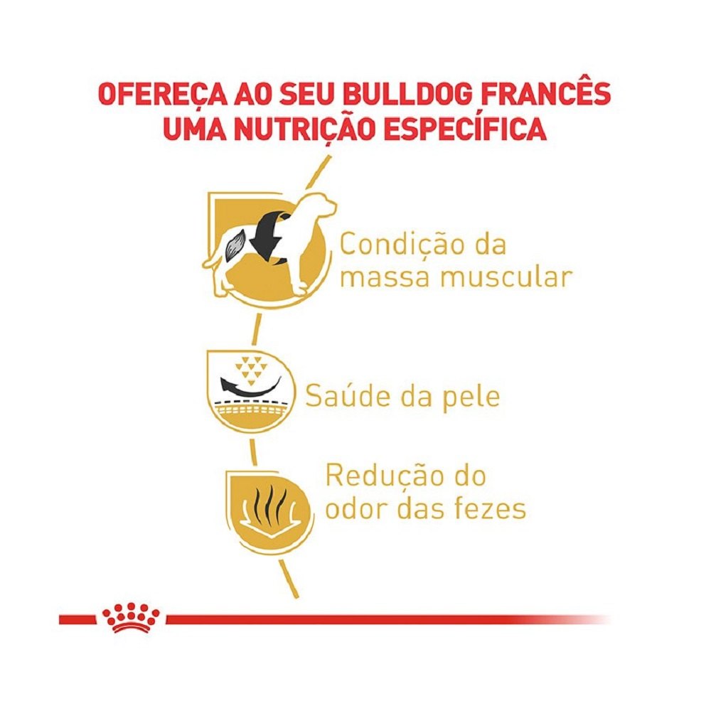 2ACC SBN BULLDOG FRANC AD