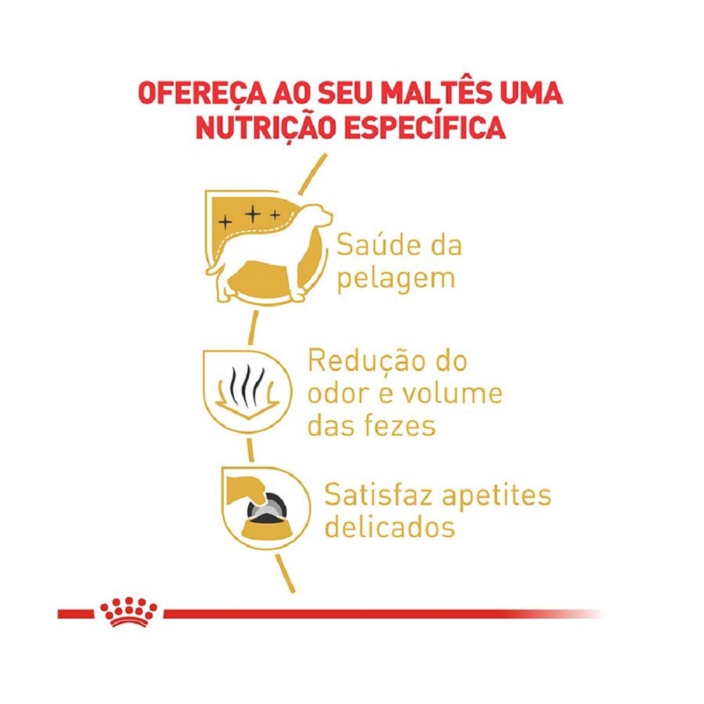 2ACC SBN MALTES ADULT
