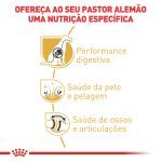 2ACC SBN PASTOR ALEMAO ADULT