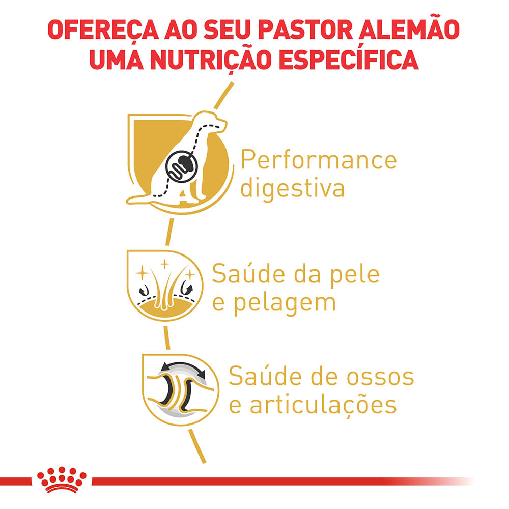 2ACC SBN PASTOR ALEMAO ADULT