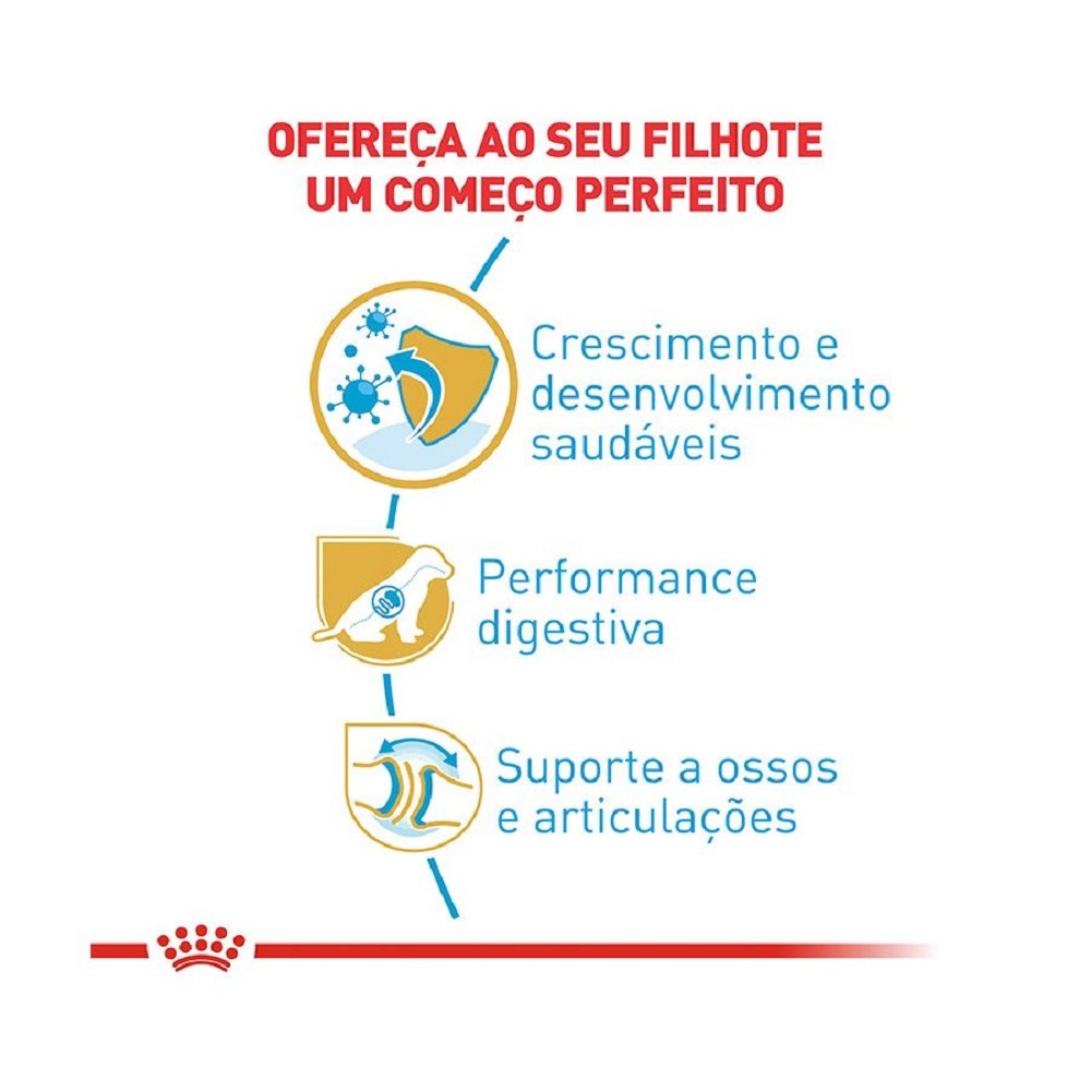 2ACC SBN PASTOR ALEMAO PUPPY
