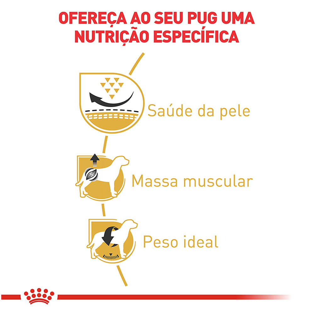 Pug Adult - Portal Vet | Royal Canin
