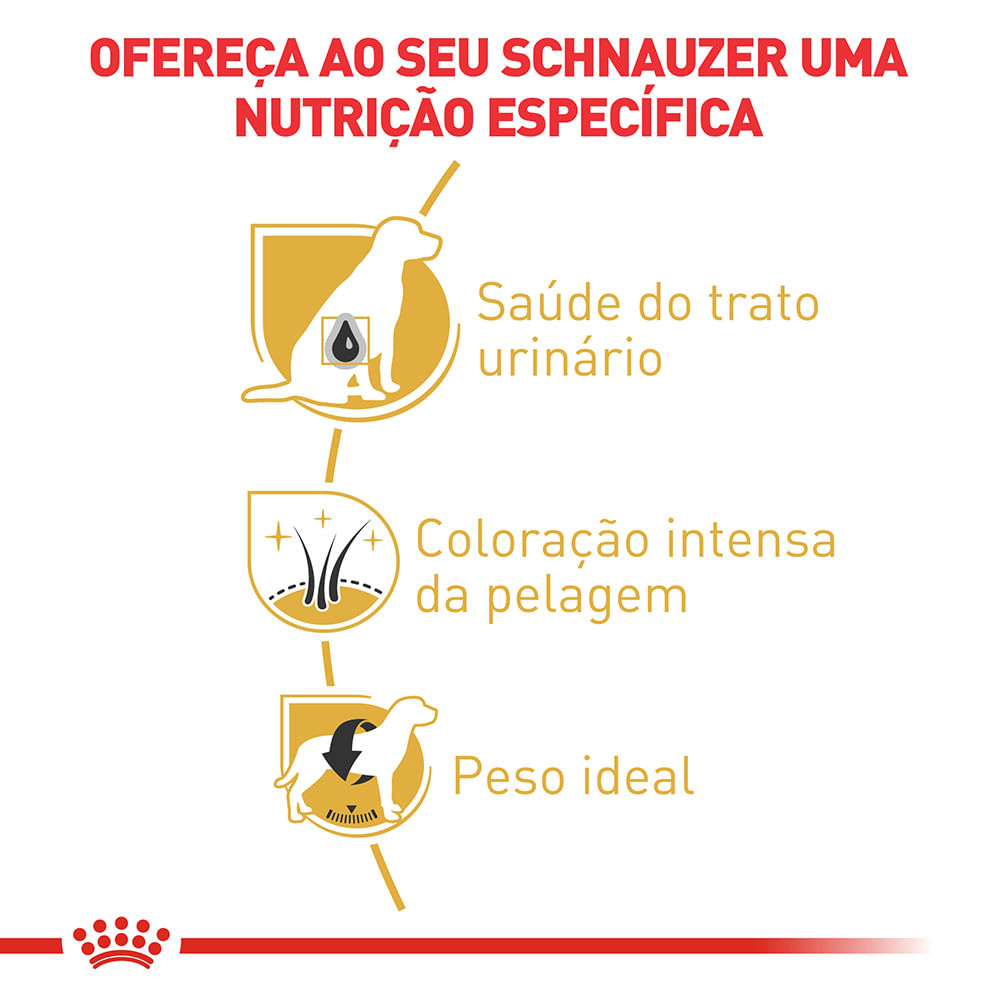 2ACC SBN SCHNAUZER ADULT