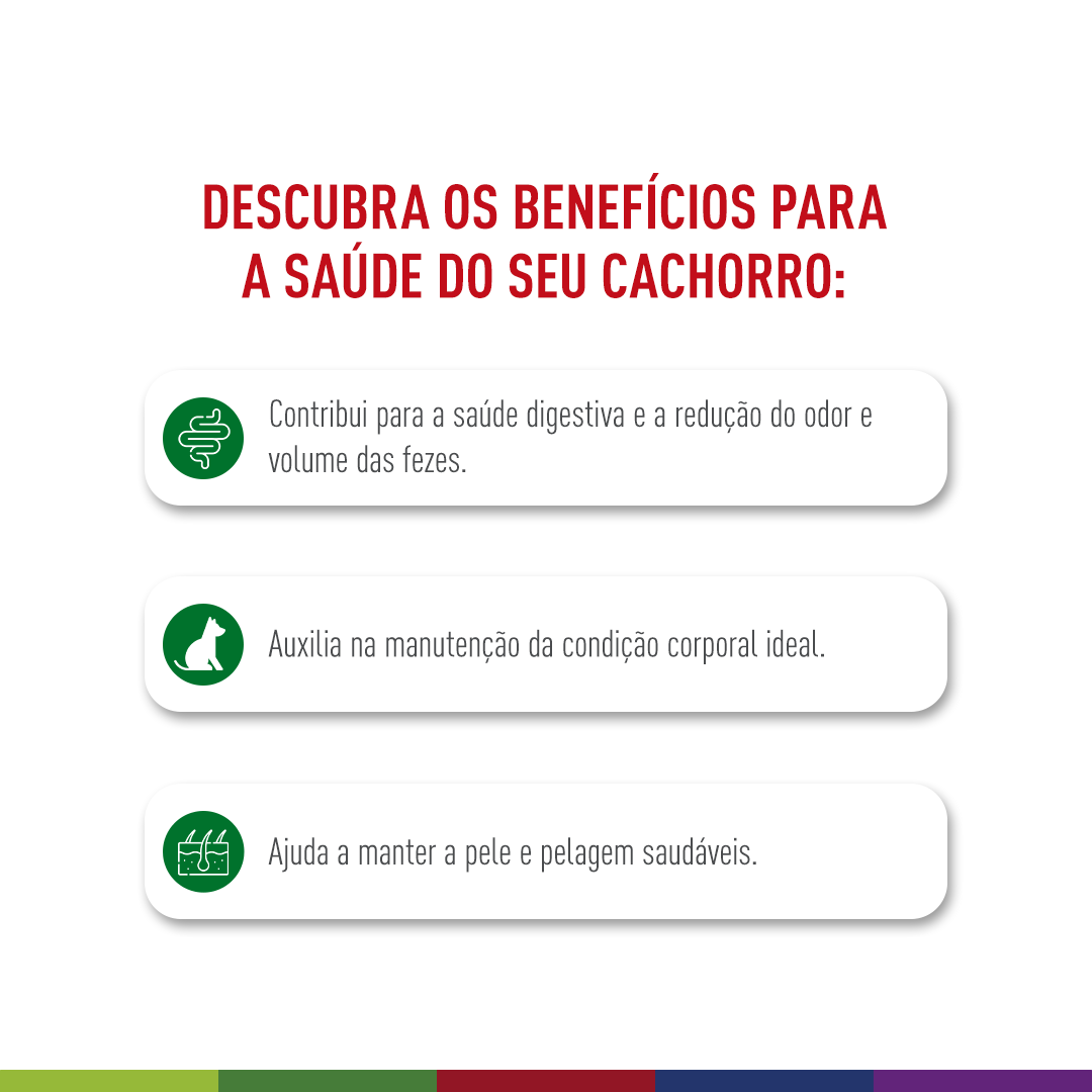 Mini Indoor Adult - Portal Vet | Royal Canin