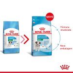 2ACC SHN MINI JUNIOR