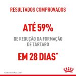 2FCN DENTAL CUIDADO DENTAL