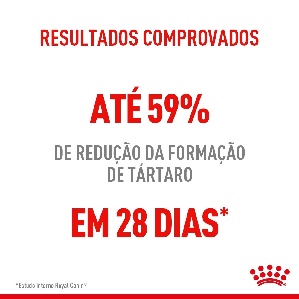 2FCN DENTAL CUIDADO DENTAL