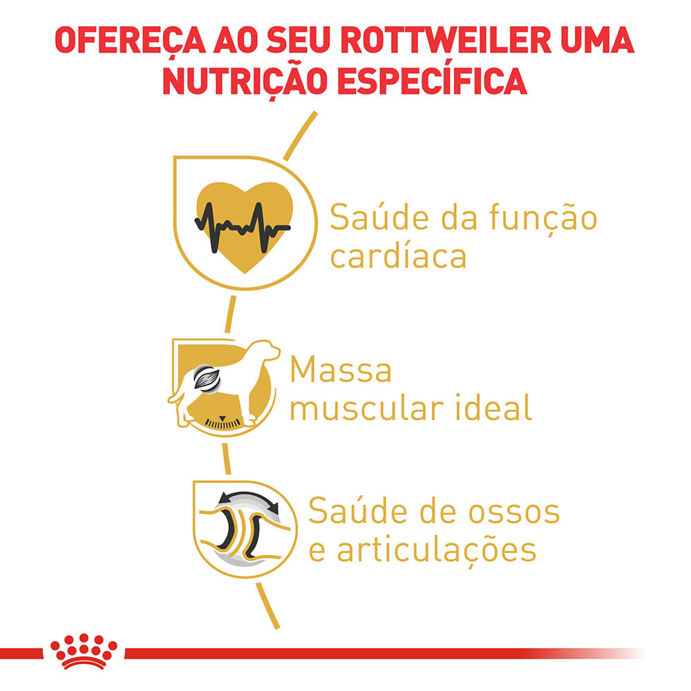 2ROTTWEILER ADULT