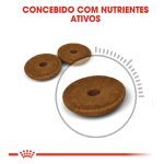 Cuidado digestivo