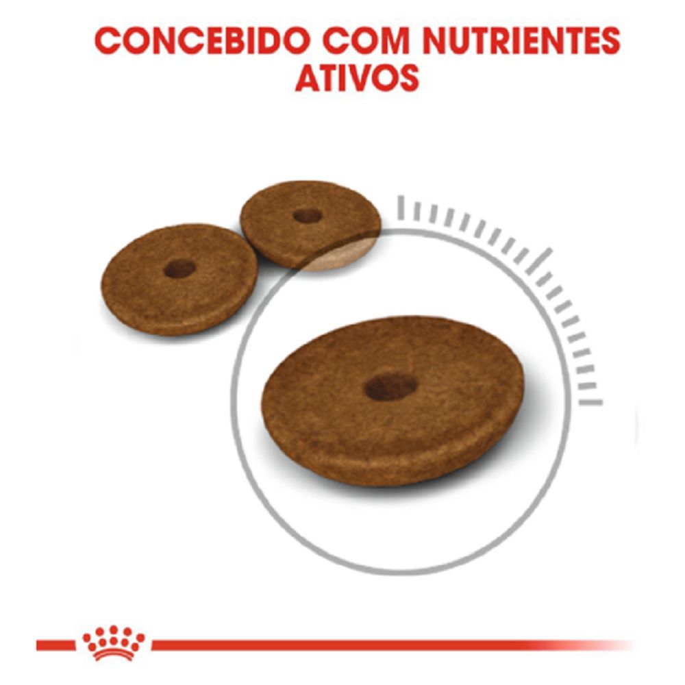 Cuidado digestivo