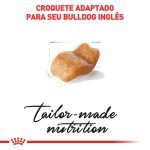 3ACC SBN BULLDOG ADULT