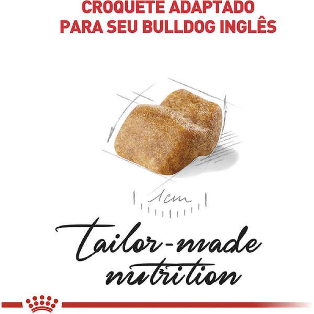 3ACC SBN BULLDOG PUPPY