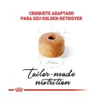 3ACC SBN GOLDEN PUPPY