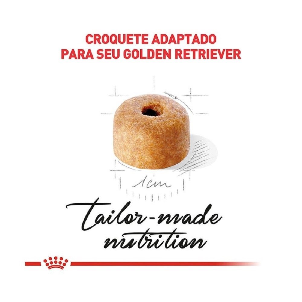 3ACC SBN GOLDEN PUPPY