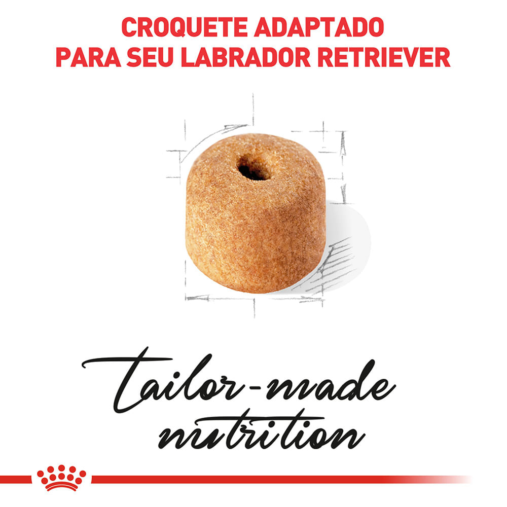 3ACC SBN LABRADOR ADULT