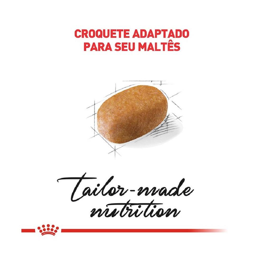 3ACC SBN MALTES ADULT
