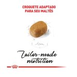 3ACC SBN MALTES PUPPY
