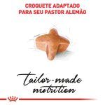 3ACC SBN PASTOR ALEMAO ADULT