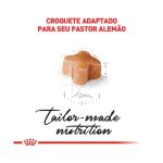 3ACC SBN PASTOR ALEMAO PUPPY