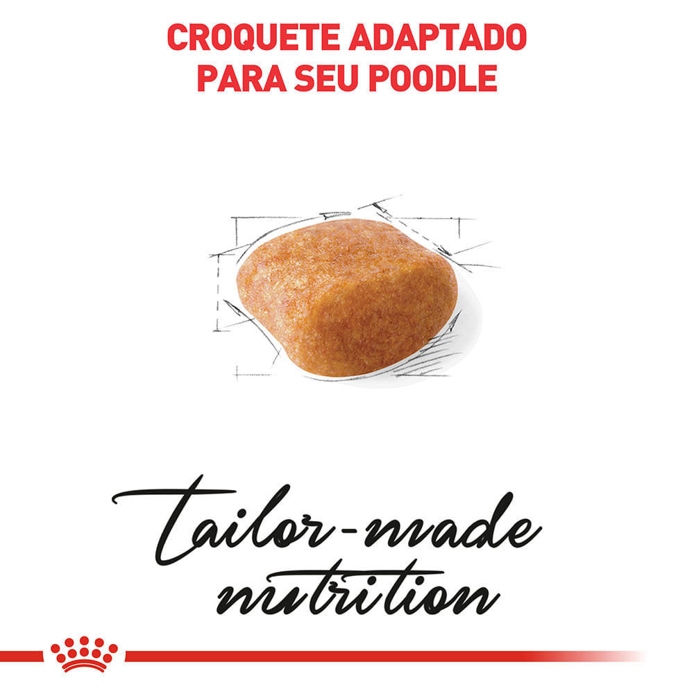 3ACC SBN POODLE ADULT