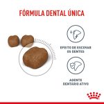 3FCN DENTAL CUIDADO DENTAL