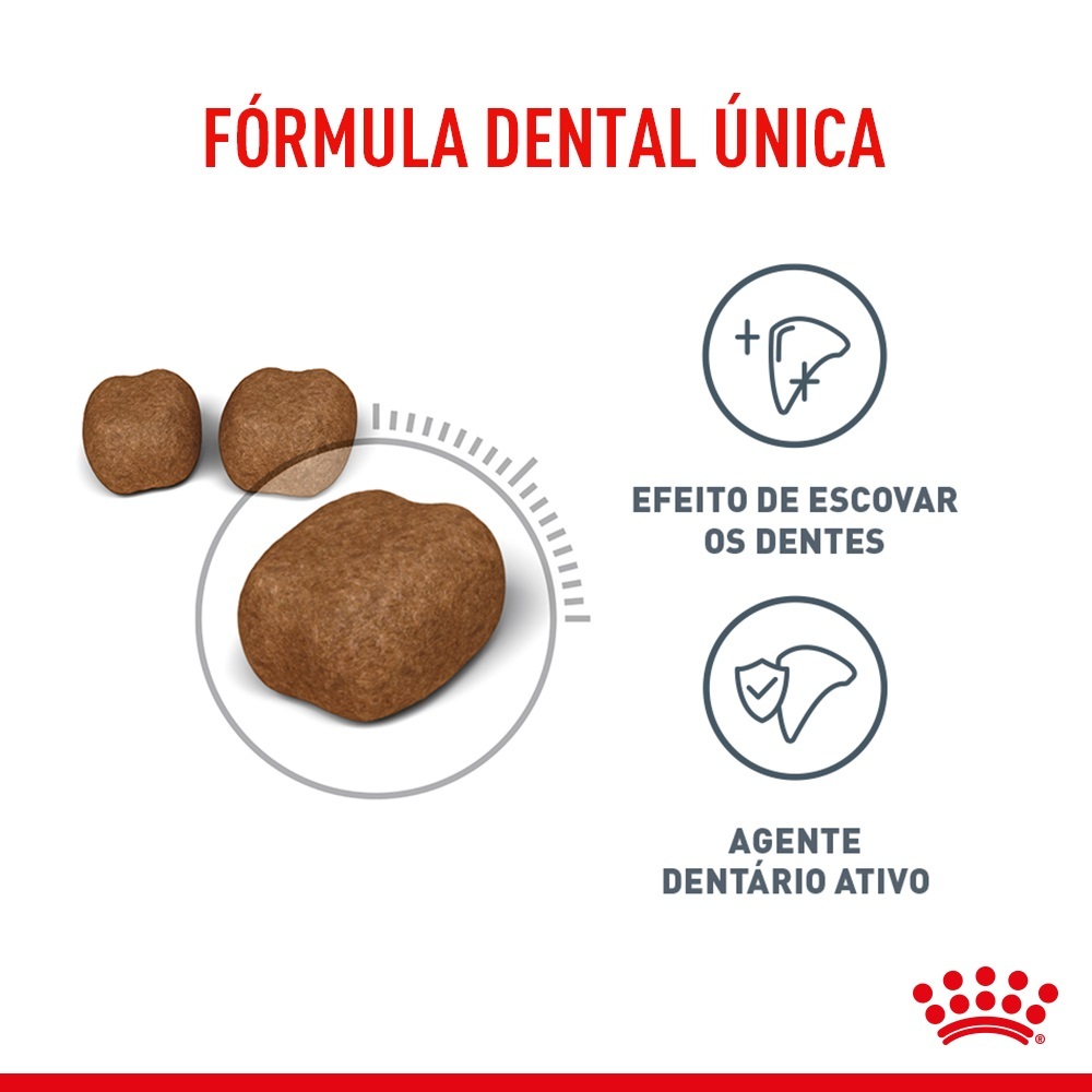 3FCN DENTAL CUIDADO DENTAL