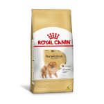 7908248300834 1ACC BHN POMERANIAN ADULT 1