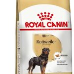 ACC SBN ROTTWEILER AD 101 KG