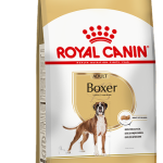 BOXER F 1