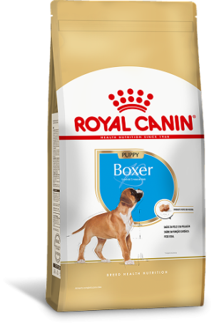 BOXER PUPPY F 1