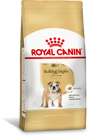 BULLDOG INGLES F 1