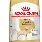 LABRADOR F 1