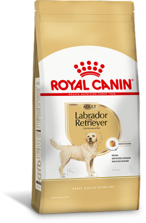 LABRADOR F 1