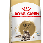 MAINE COON F 1