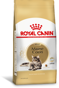 MAINE COON F 1