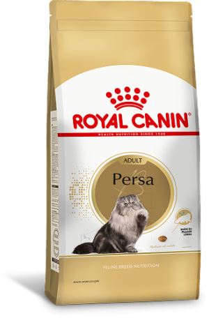 PERSA ADULT F 1