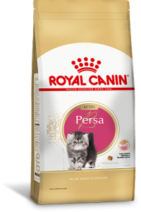 PERSA KITTEN F 1