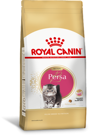 PERSA KITTEN F 1