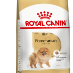 POMERANIAN ADULT F