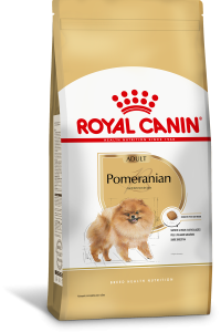 POMERANIAN ADULT F