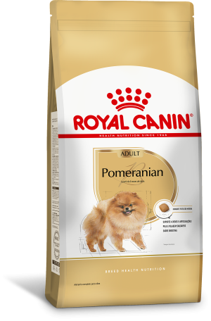 POMERANIAN ADULT F