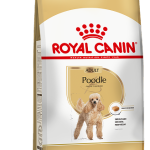 POODLE F 1