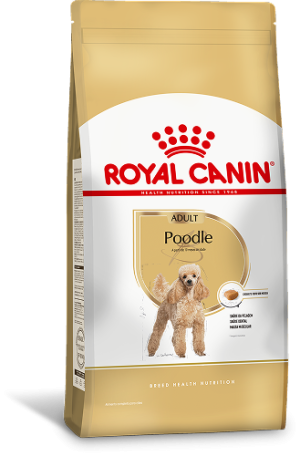 POODLE F 1
