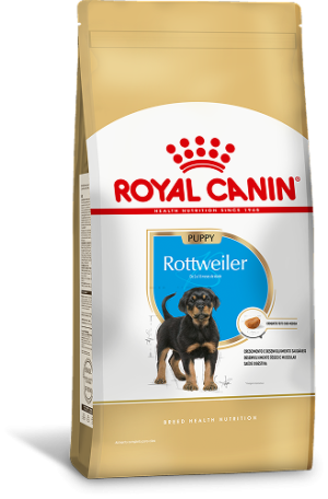 ROTTWEILER PUPPY F 1